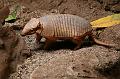 Zoo Schmiding 054